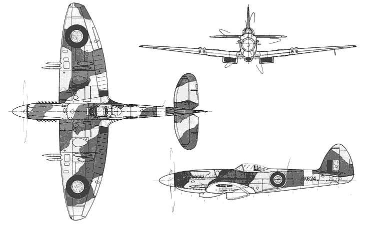LOEHLE Spitfire Elite SPEL 3D view