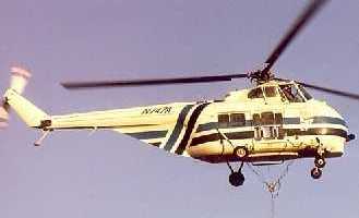 S55T image